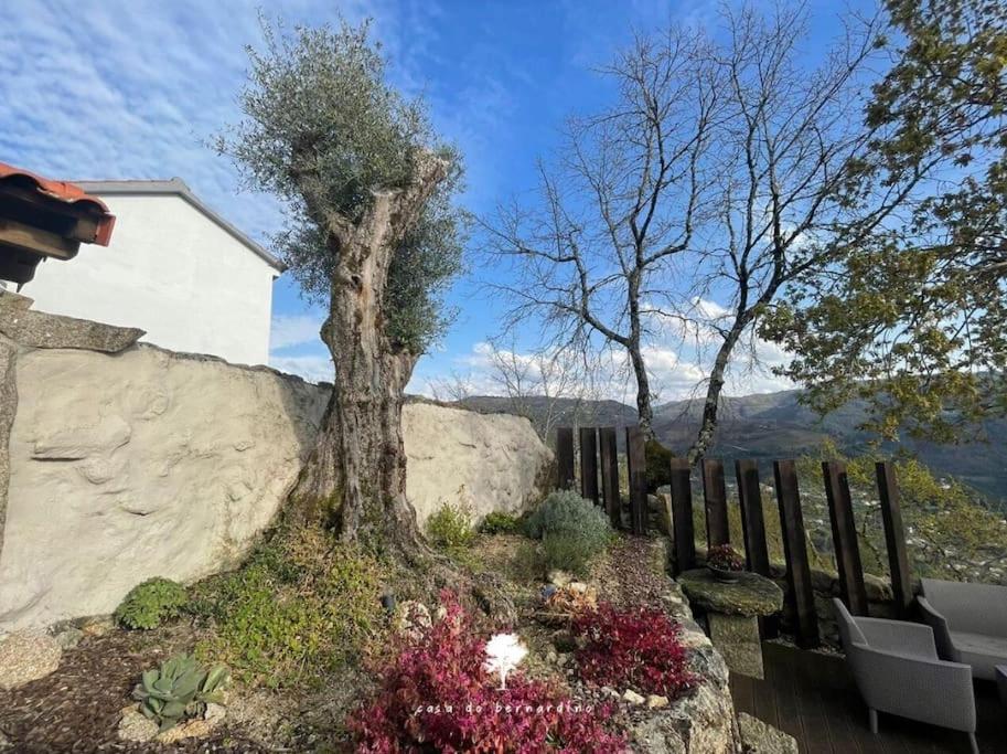 Casa Do Bernardino Villa Cabril  Exterior photo